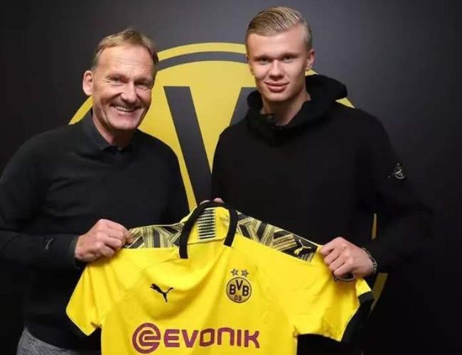 毫无意外 毫无意外